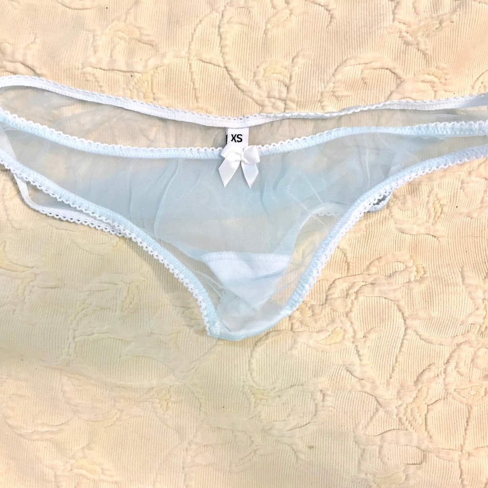 Blue sheer panties